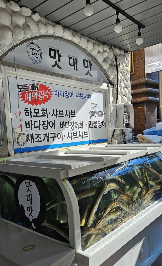 맛대맛, 24년 장어 명가의 길… 남도미식박람회 도전과 목포 지역경제의 새 물결